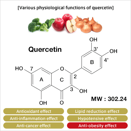 Why We Love Quercetin